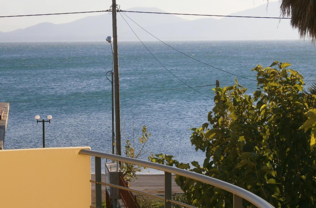 Artemis - Marina Apartments Evia Room photo